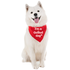 Goood honden bandana